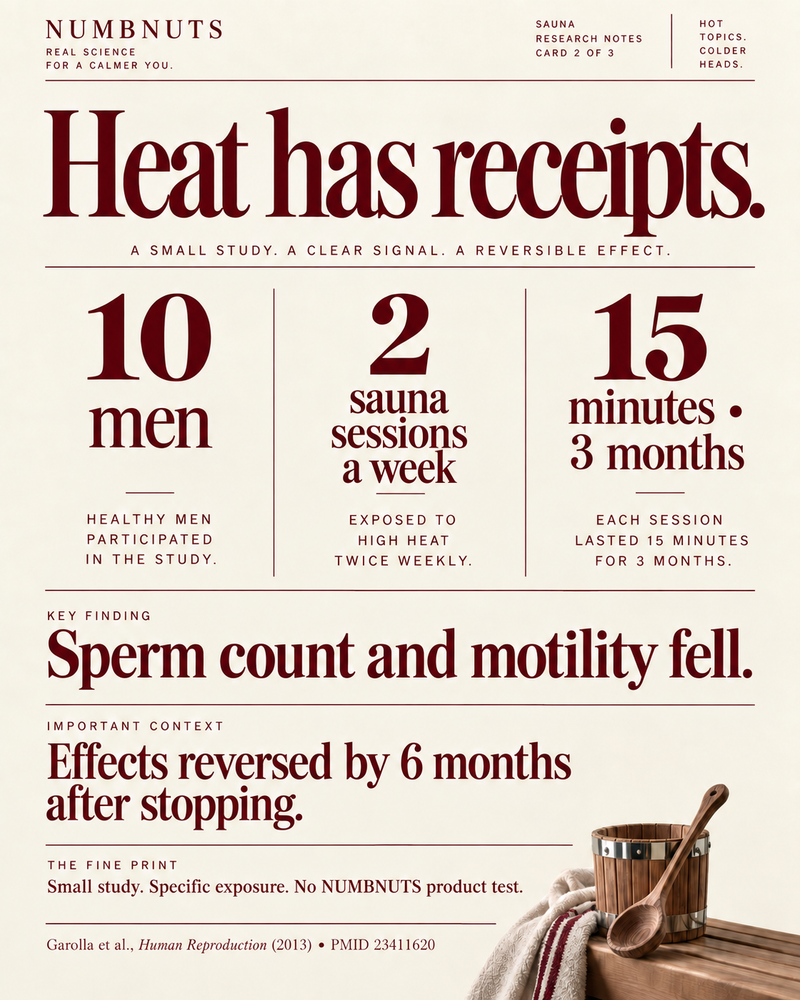 Does Sauna Affect Sperm Count? What the Research Actually Says