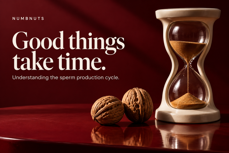The 74-Day Rule: How Long Sperm Takes to Regenerate — and What You Can Change Tonight