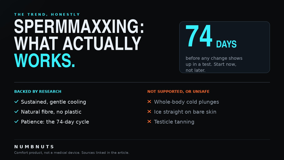 Spermmaxxing explained: what the research supports, being sustained gentle cooling, natural fibre and the 74-day sperm cycle, versus what is not supported or unsafe, being whole-body cold plunges, ice on bare skin and testicle tanning